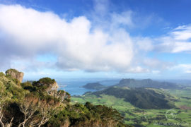 The Essential Guide to Whangarei Heads