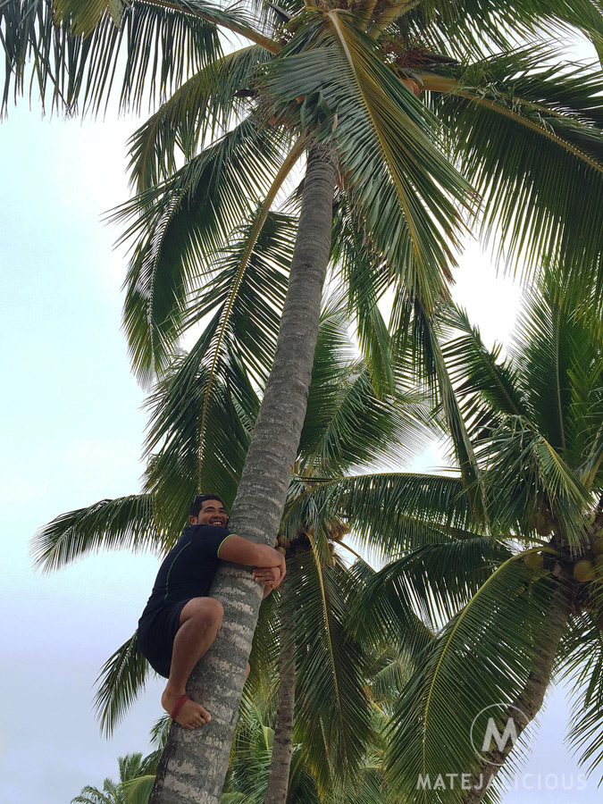 Coconuts Rarotonga - Matejalicious Travel and Adventure