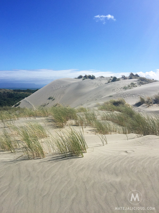 Farewell Spit Dunes - Matejalicious Travel and Adventure