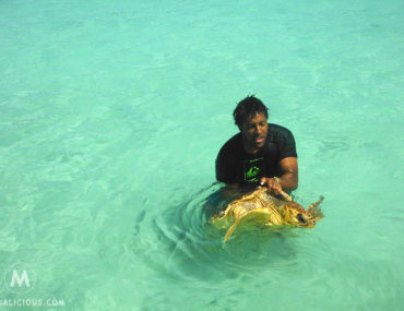 Isle Of Pines Turtles Featured - Matejalicious Travel and Adventure
