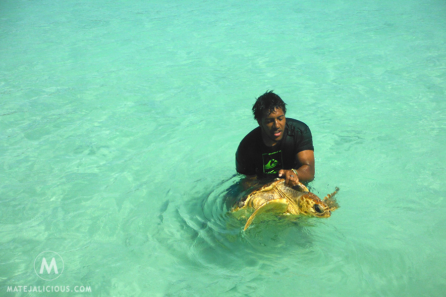 Isle Of Pines Turtles Featured - Matejalicious Travel and Adventure