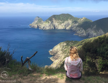 Hiking Cape Brett - Matejalicious Travel and Adventure