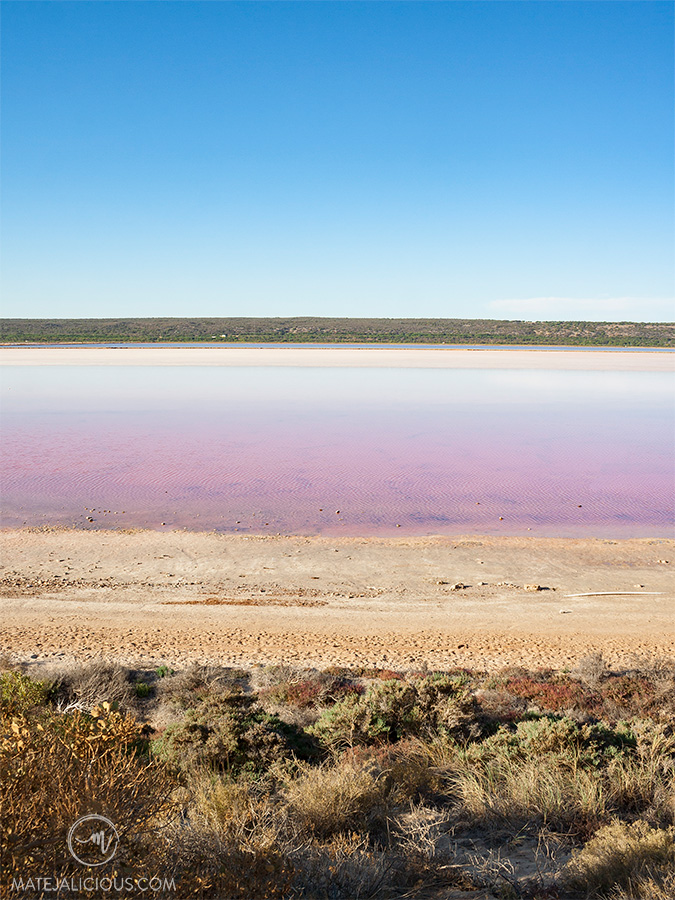 Pink Lake Australia - Matejalicious Travel and Adventure