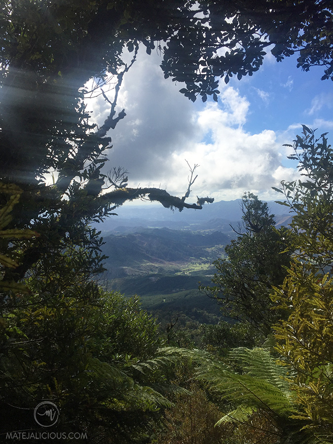Mount Tutamoe - Matejalicious Travel and Adventure