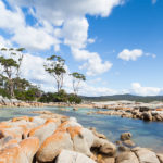 Tasmania - Matejalicious Travel and Adventure