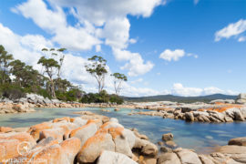Tasmania - Matejalicious Travel and Adventure